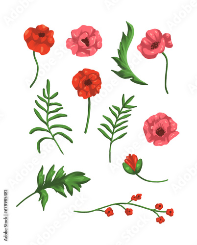 set of red poppies elements bundles vector isolated on white background