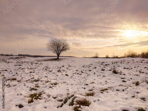 Obraz na płótnie tree in the snow w salonie