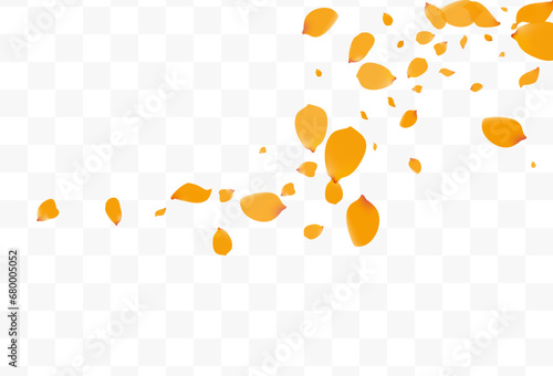 Yellow Blossom Spring Vector Transparent