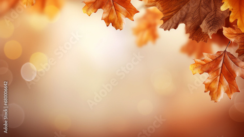 Autumn Leaves Background  Golden Foliage Nature  Oak Leaf Textured Forest