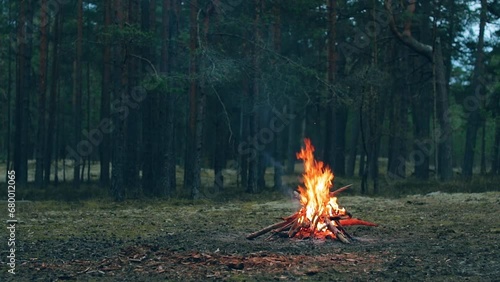 A Bonfire Burning in the Forest in Evening. Flaming Campfire. Fireplace in Nature - Static Shot, Slow Motion