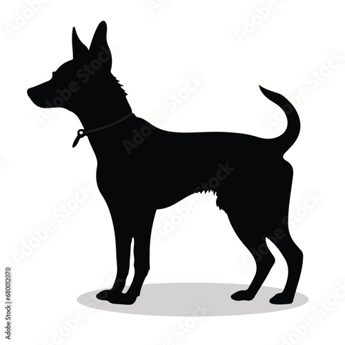 Basenji silhouettes and icons. black flat color simple elegant Basenji animal vector and illustration.