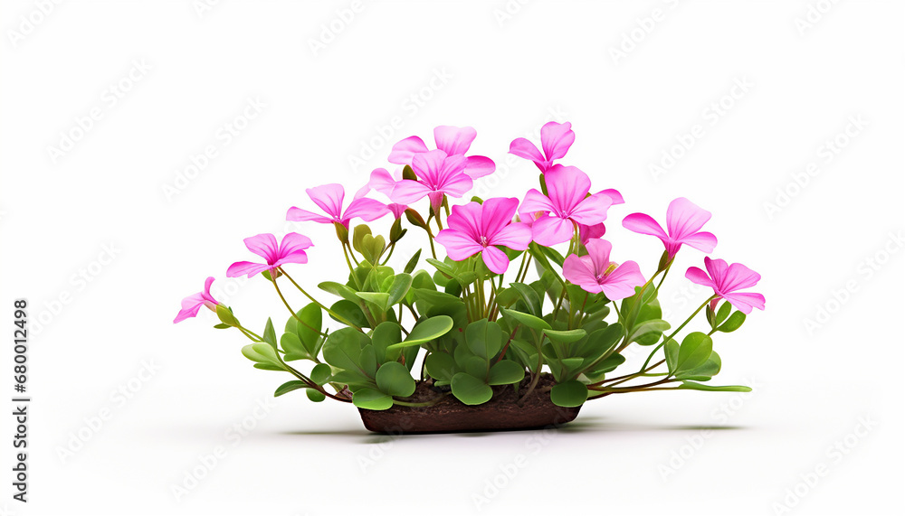Naklejka premium Cheerful Pink Blooms
