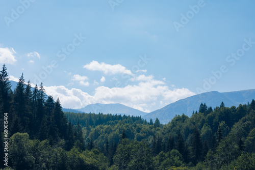 Ukraine Carpathians mountain forest river sun clouds beauty