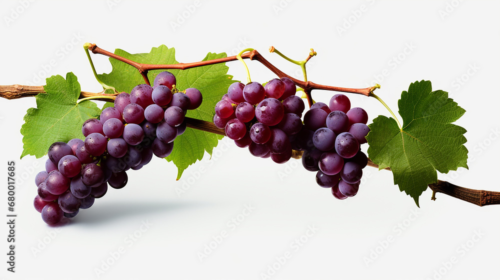 Fototapeta premium bunch of red grapes