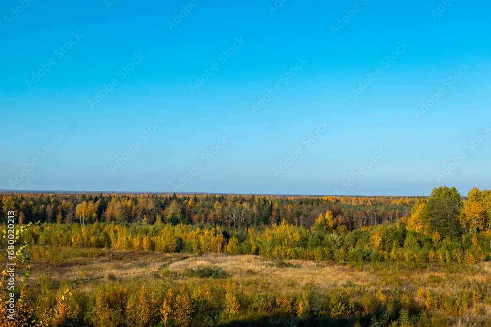 Panorama. Lonely beautiful autumn tree. Autumn Landscape. High quality photo Panorama. Lonely beautiful autumn tree. Autumn Landscape. High quality photo