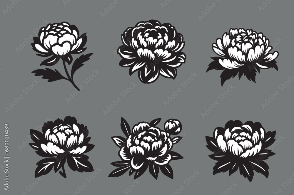 peonies flowers. beautiful vector set. Logo, icon, emblem peonies flowers. beautiful vector set. Logo, icon, emblem