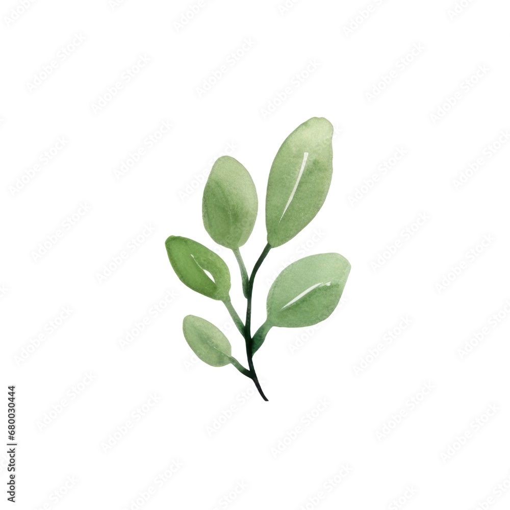 Naklejka premium Hand drawn watercolor leaf tropical herb illustration for wedding invitation card, frame and wreath greenery branch transparent background PNG 300DPI