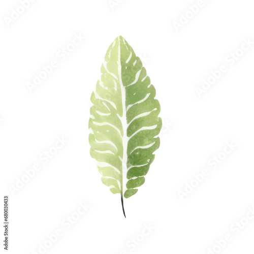 Hand drawn watercolor leaf tropical herb illustration for wedding invitation card  frame and wreath greenery branch transparent background PNG 300DPI