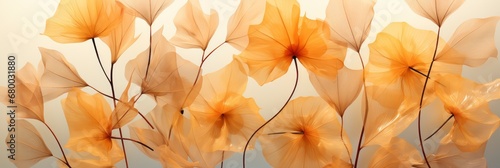 Nature Pattern Dry Petals Transparent Leaves  Banner Image For Website  Background abstract   Desktop Wallpaper