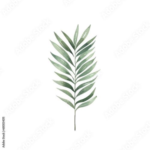 Palm areca leaf watercolor tropical leaves illustrations elements Hand drawn watercolor clipart transparent background PNG 300 DPI