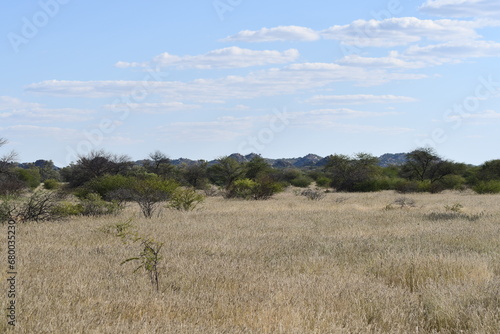 Afrikanische Landschaft - Namibia