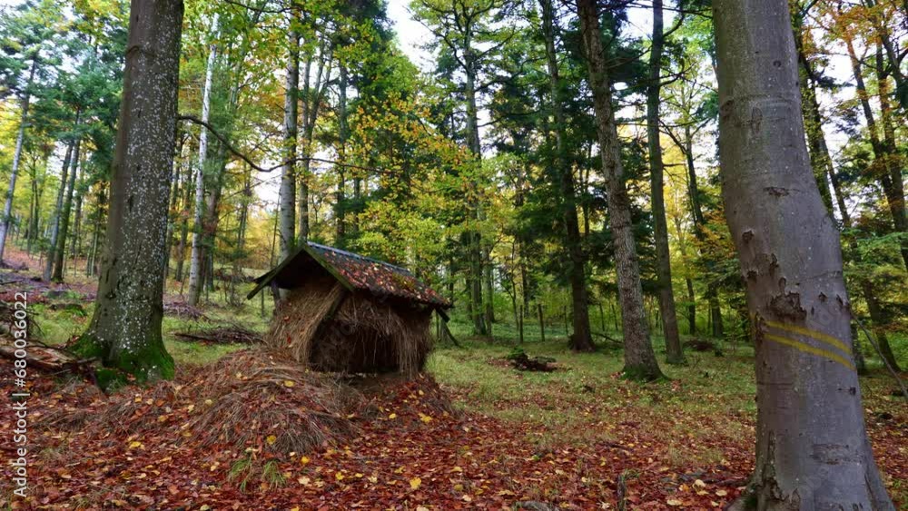 Wildlife feeder for wild moose, wild boars Wildlife feeder for wild moose, wild boars
