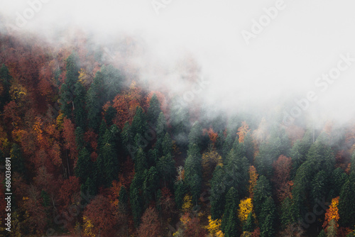 Autumn forest and fog, view from the top