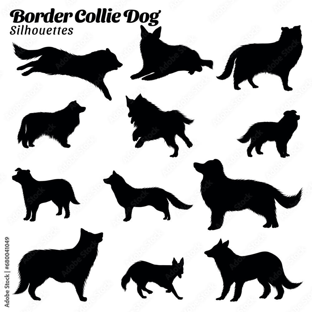 Set of illustrations of border collie dog silhouettes