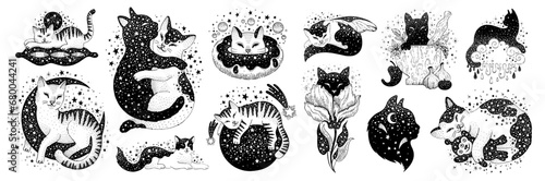 Black animal silhouettes, cute cats with moon and stars pattern. Funny pets in different poses. Abstract and mystic art with black and tabby kittens, flowers and planets, vector sketch illustration