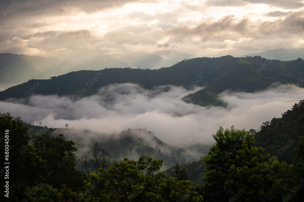 fog in the mountains