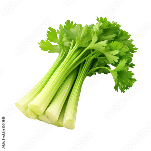 celery isolated on transparent background,transparency 