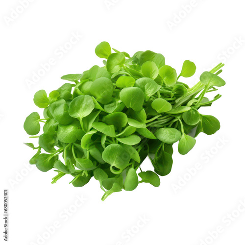 watercress isolated on transparent background,transparency 