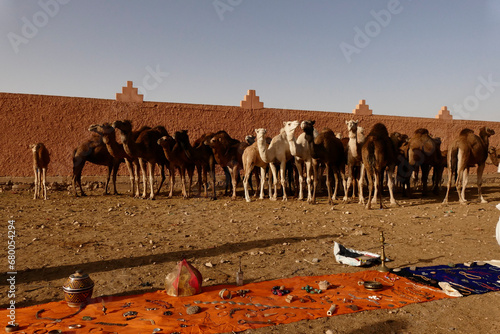 Il tradizionale mercato dei cammelli che si svolge nella città di Guelmim. Marocco photo