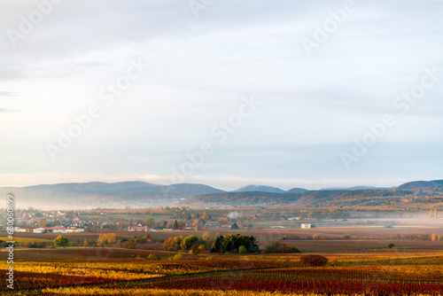 fall morning colors