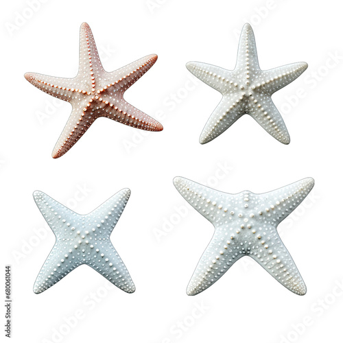 Starfish Set on White Isolated on Transparent or White Background, PNG