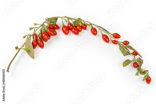Tableau sur toile Branch of goji with leaves and fruits on white background