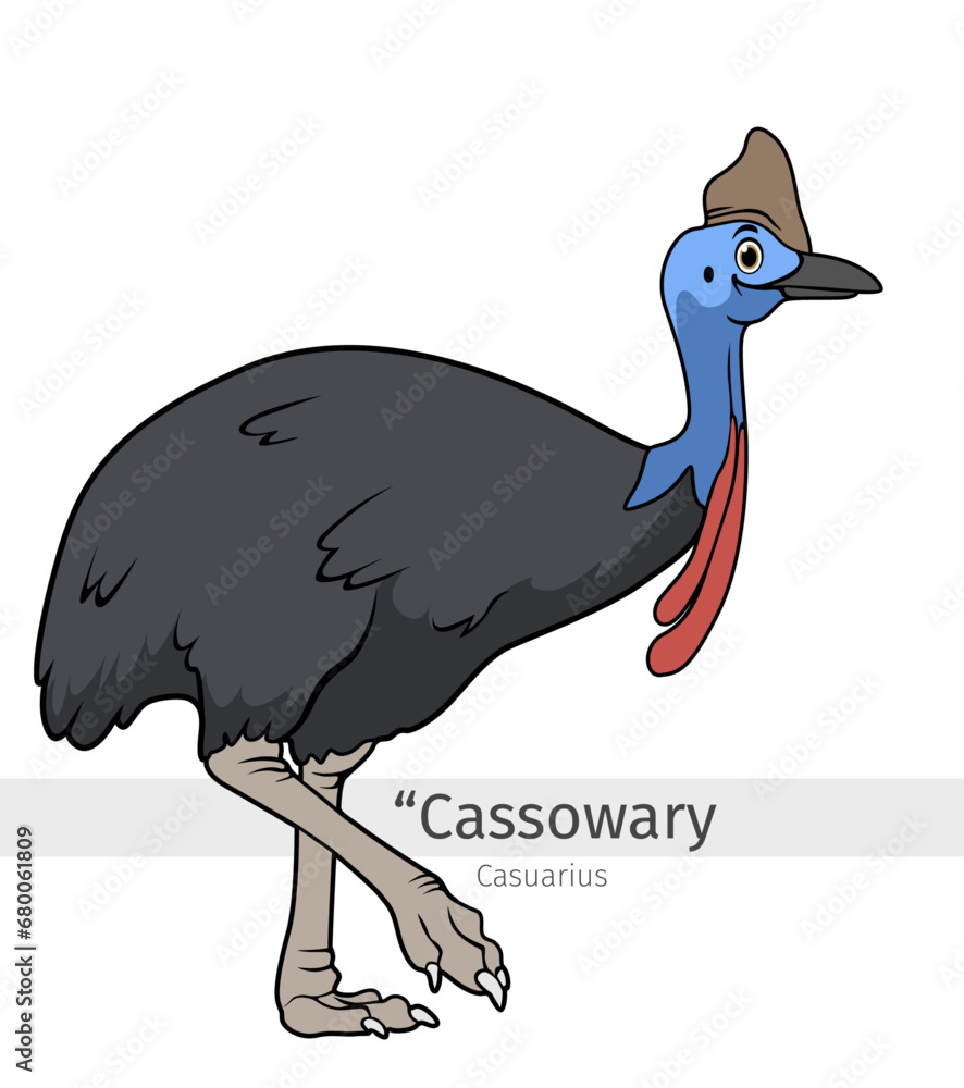 Obraz premium Cassowary Cartoon illustration