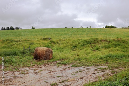 Rolled-Up Bale of Hay in Field photo