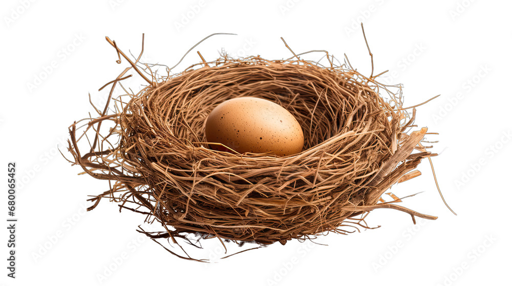 custom made wallpaper toronto digitalBird's Nest with Egg Isolated on Transparent or White Background, PNG