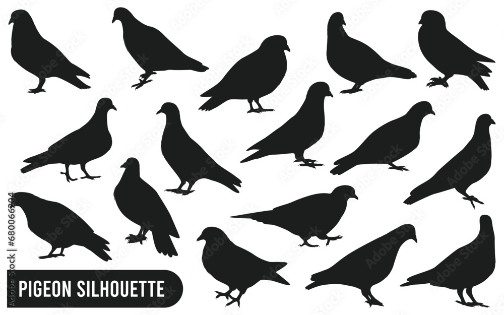 Collection of Pigeon Silhouette Vector Collection of Pigeon Silhouette Vector