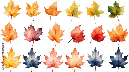 Watercolor Maple Leaf Set Isolated on Transparent or White Background, PNG