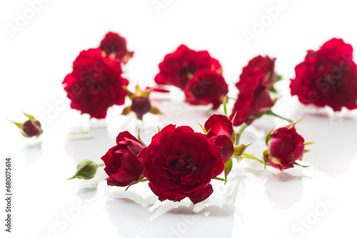bouquet of red small roses  on white background.