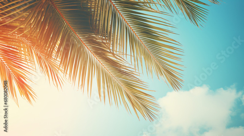 Tropical palm leaves over sky background vintage © UsamaR