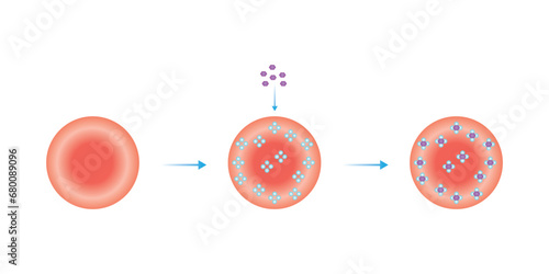 Hemoglobin A1c Scientific Design. Vector Illustration.	
