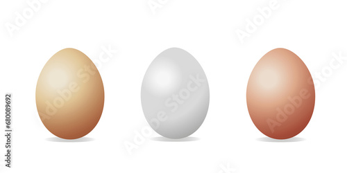 Set of dark and light brown realistic whole chicken eggs. 3d illustration of three eggs collection