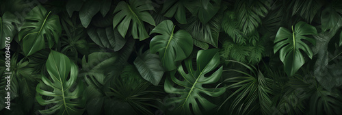 Background of dark green tropical leaves monstera  palm  coconut leaf  fern  palm leaf  banana leaf. Wide panorama backdrop wallpaper  concept of nature  generative ai