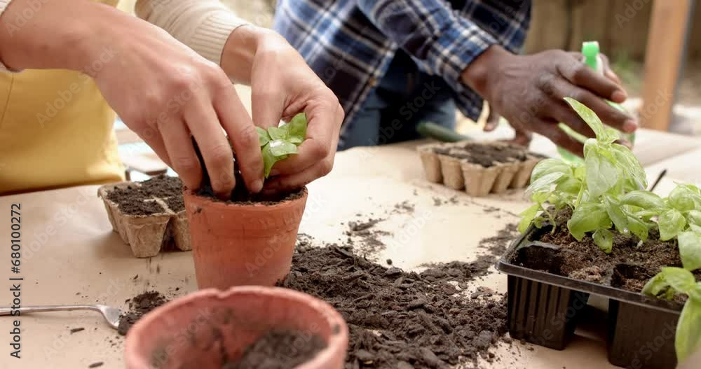 Midsection of diverse mature couple potting seedling plants on garden terrace, slow motion Midsection of diverse mature couple potting seedling plants on garden terrace, slow motion