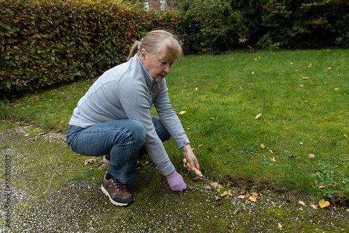 A woman removes grass that has grown between paving slabs. Remove weeds from decks and sidewalks. Grass and weeds stubbornly grow between the intertwined stones on sidewalks and driveways. photo