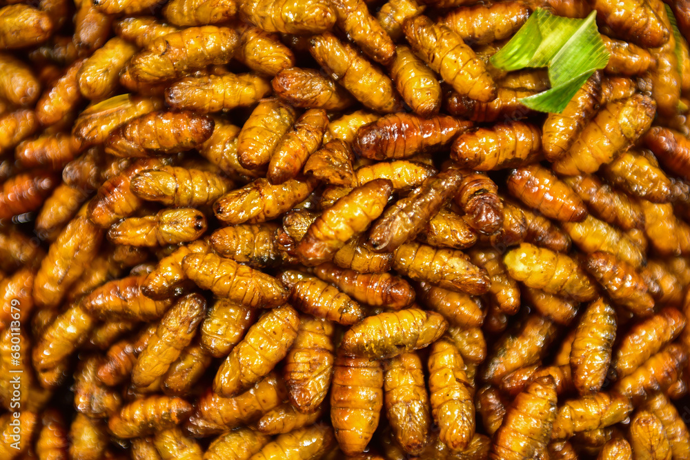 Fried Silkworms food in Thai country Fried Silkworms food in Thai country