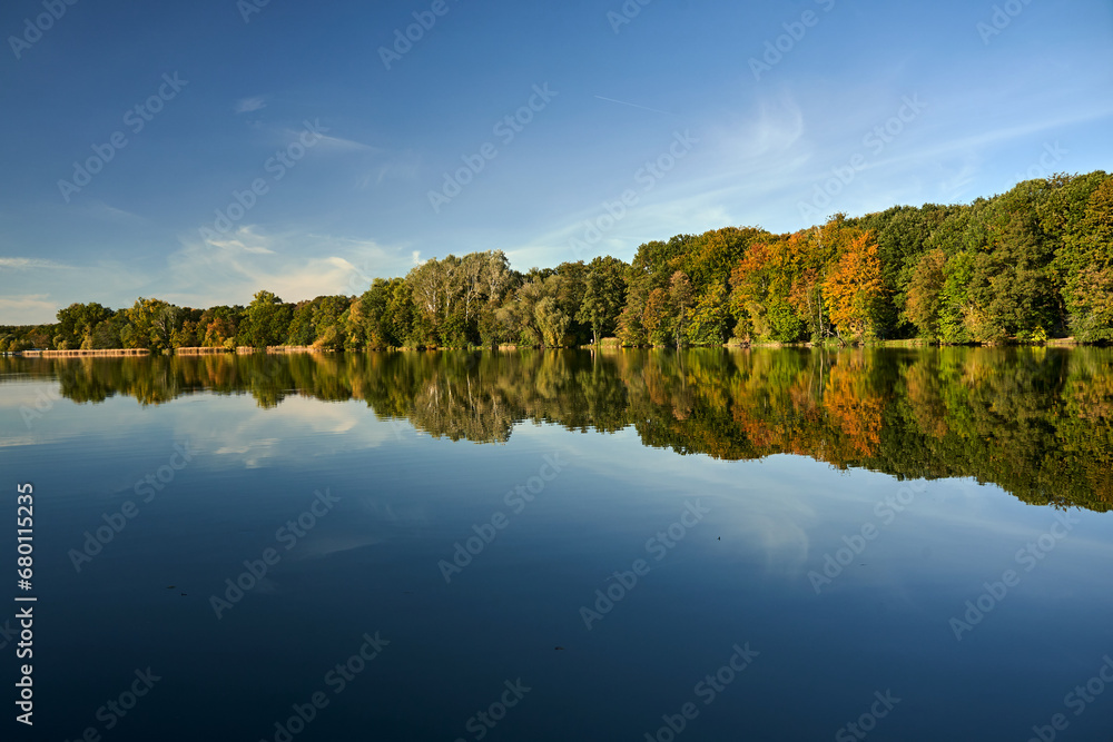 deciduous forest by the lake on a sunny day during autumn
