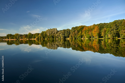 deciduous forest by the lake on a sunny day during autumn