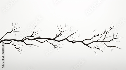 Fényképezés dry tree branch isolated on white background