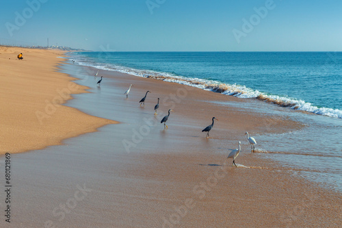 Beautiful clean golden beach of Madhavpur, Gujrat, India.