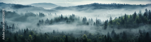 Super Ultrawide Foggy Tree Tops Forest Background