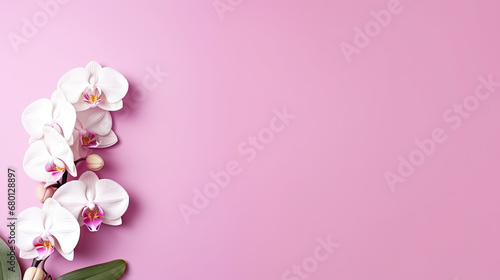 Orchid isolated on pink background with copy space © Planetz