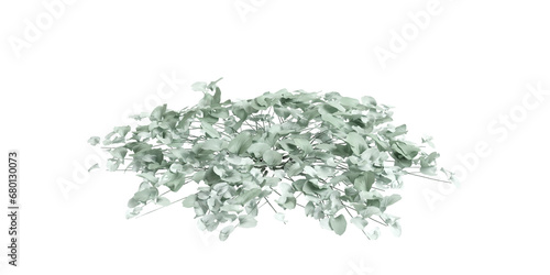 3d illustration of Dichondra Argentea bush isolated on transparent background