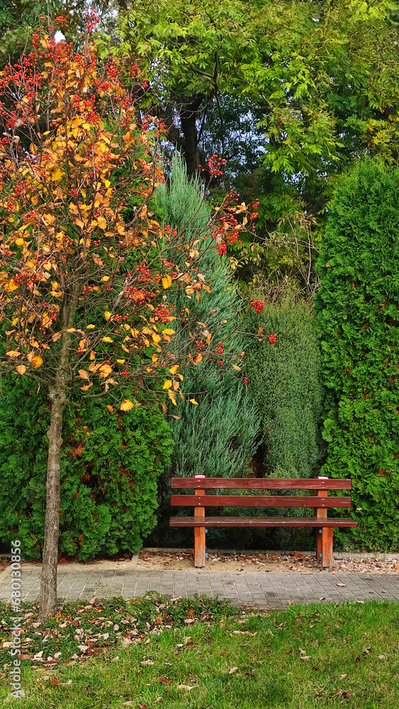 Empty wooden bench in autumn park Empty wooden bench in autumn park
