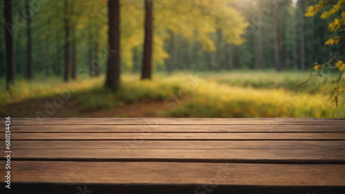 wooden empty table on forest background