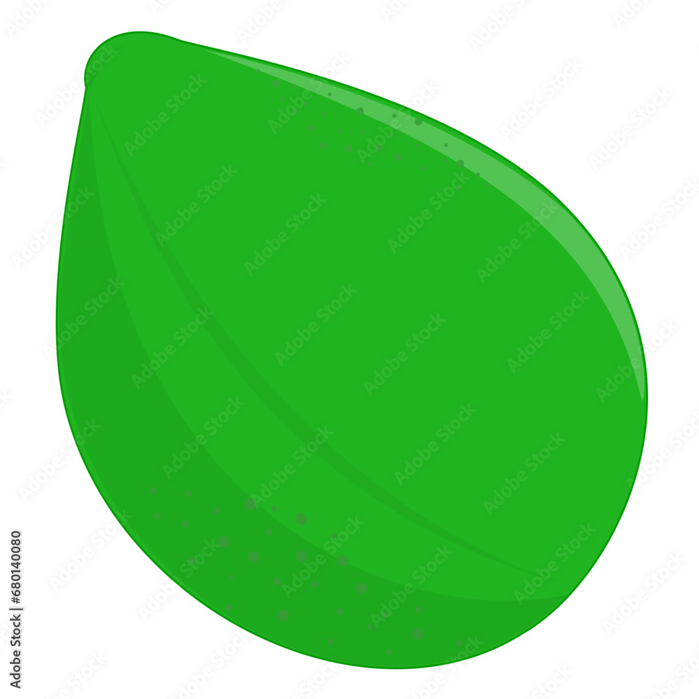 vector icon of avocado. avocado fruit in flat design. vector illustration. realistic flat 3d style vector icon of avocado. avocado fruit in flat design. vector illustration. realistic flat 3d style